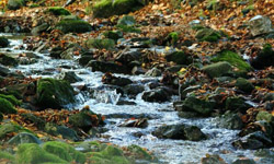 Задача. Задача про ручеек Задача. Задача про ручеек